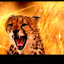 Диан =)) Шарафутдинов