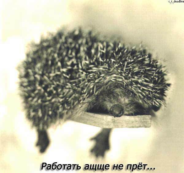 Сауле Алматовна