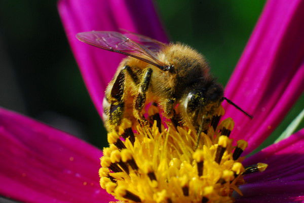 Татьяна Саркисова