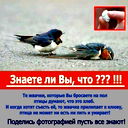Диманчик Оо88
