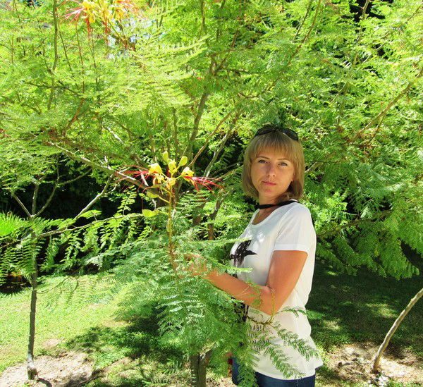 Елена Лымарь (Филипко)