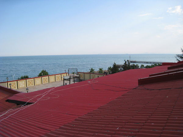 Наталья Матвеева