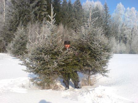 Александр Старшинов