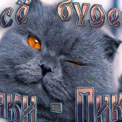 Надежда Дубровка