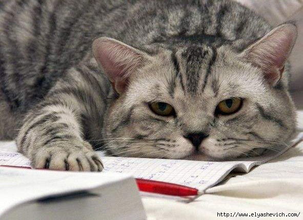 Валентина !!!