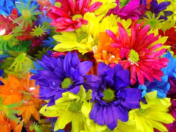 Гульнур Райханова