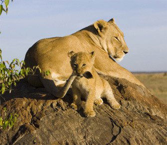 Счастливое Счастье