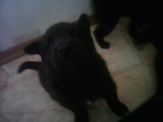 Денис Миллер