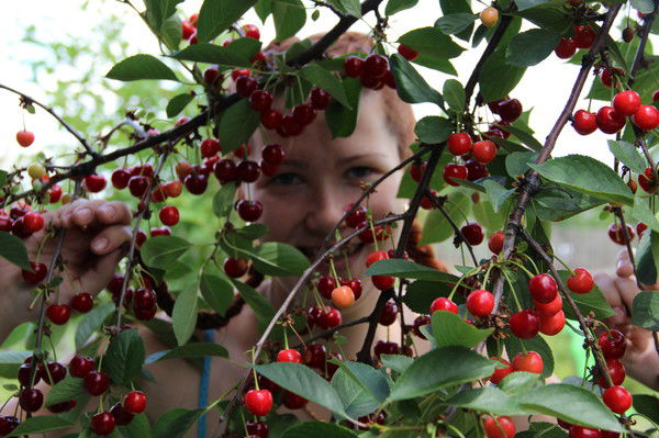 Дарья Юрасова