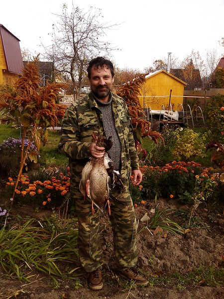 Александр Хамидуллин