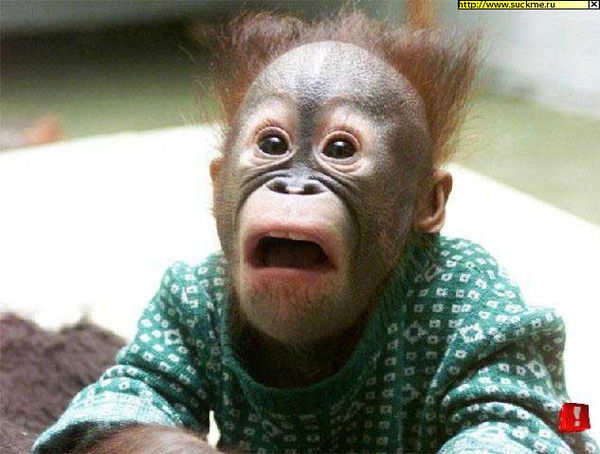 Александр Шайкин