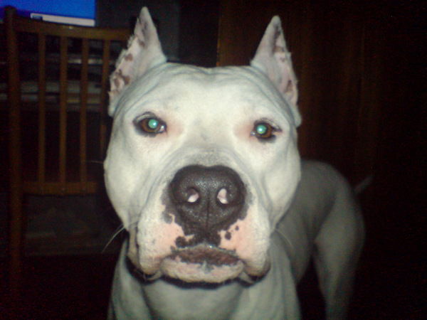 Максим Иванов