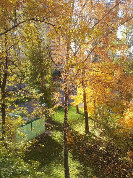 Наталья Антонова