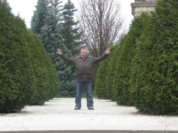 Аркадий Шулаков