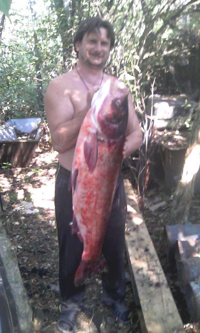 Сергей Шевченко