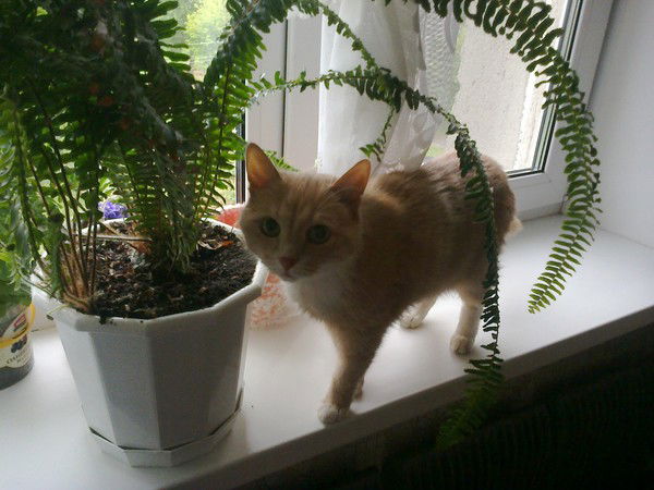 Анна Сидякина2