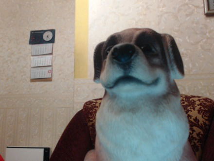 Галина Иншакова