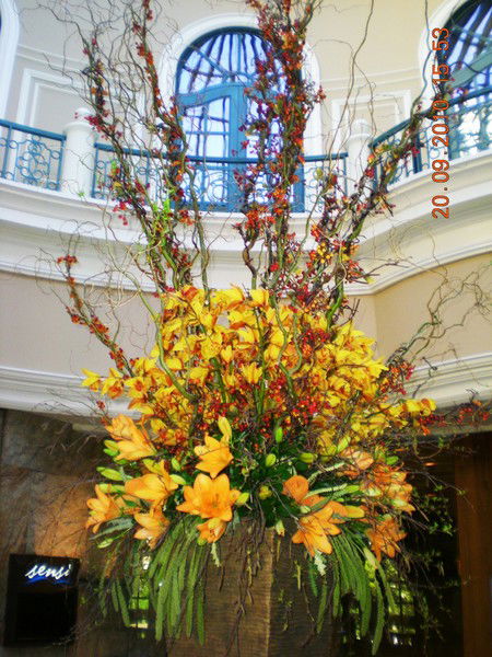 Ирина Антоненко