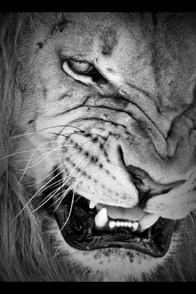 Светлана Иванова