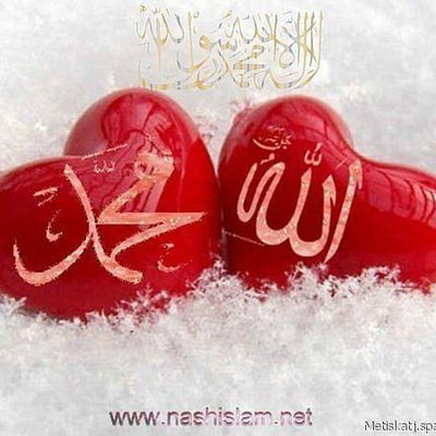 Зарина Алиева