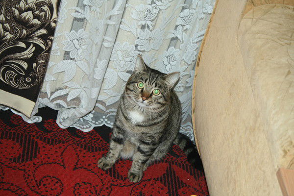 Александр Сартаков