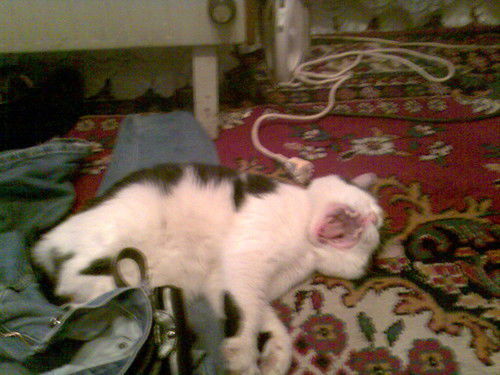 Андрей Барановский