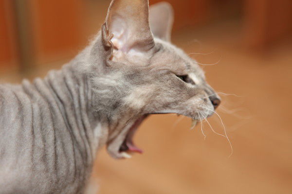 Игорь Мусихин