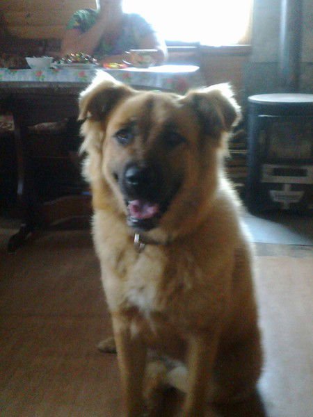 Александр Бабошин