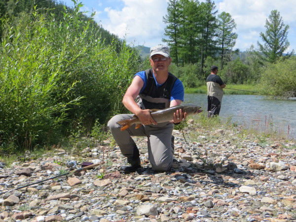 Алексей Витязев