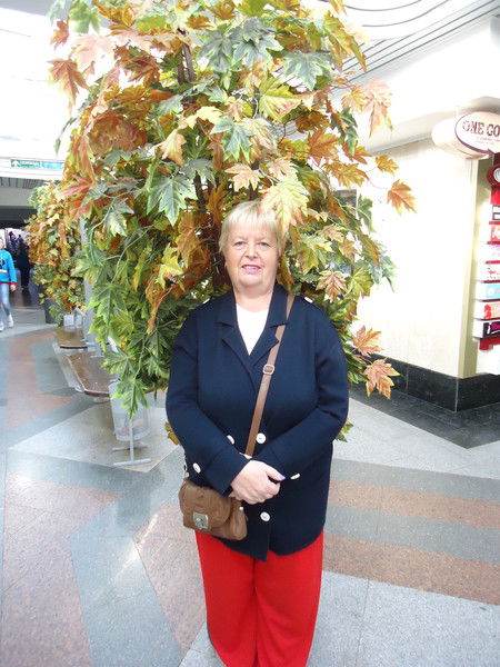 Орхидея Орхидея