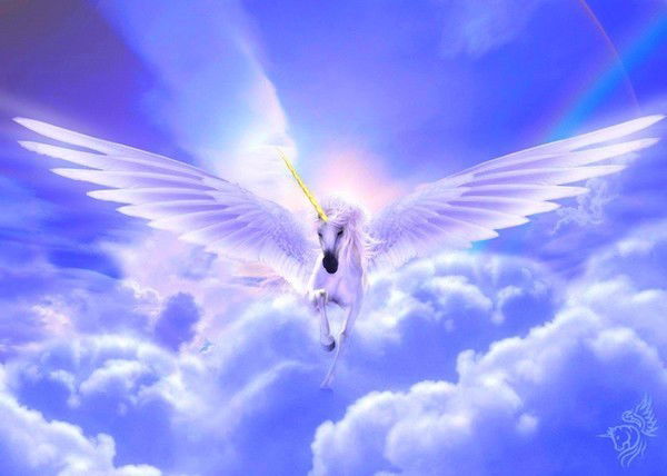 Владимир Стародубцев