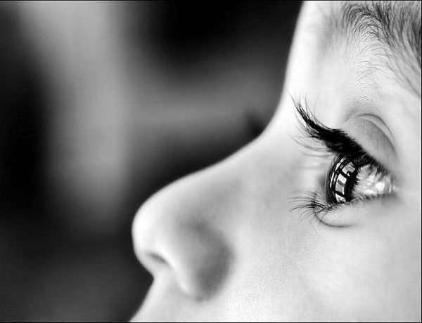 Света Света