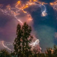 Даша Петрова