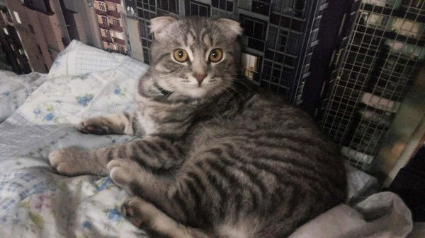 Марина Боровикова