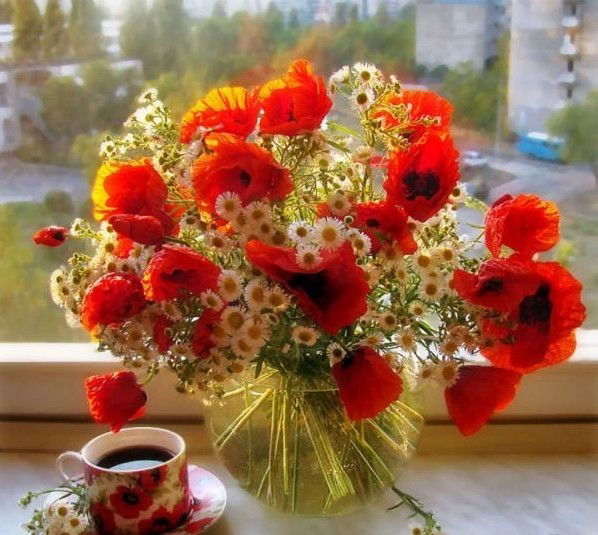 Ольга Васильева