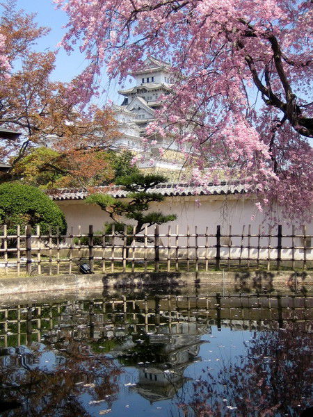 Алия Гатипова