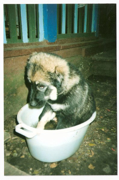 Alla Большова