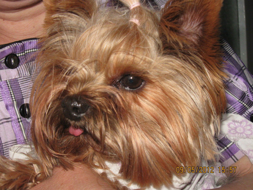 Александр Солдатов