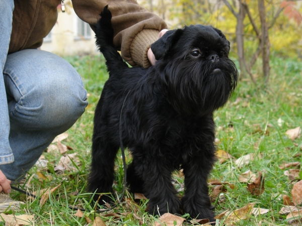 Лариса Кузьменко