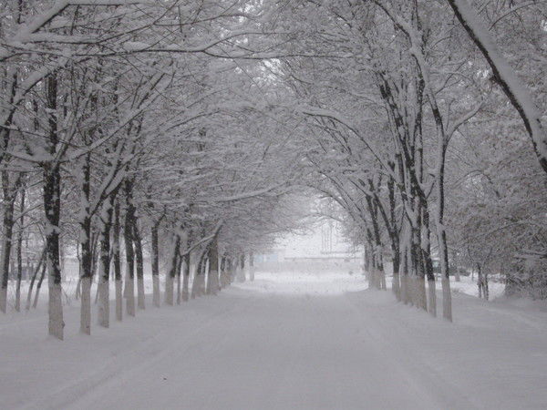 Евгений Скрепцов