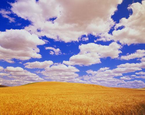 Кс -Технологии