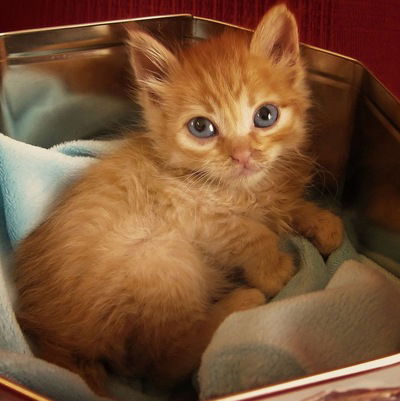 Юляшка Милашка