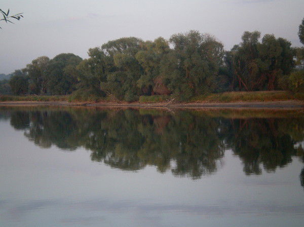 Денис Егоров