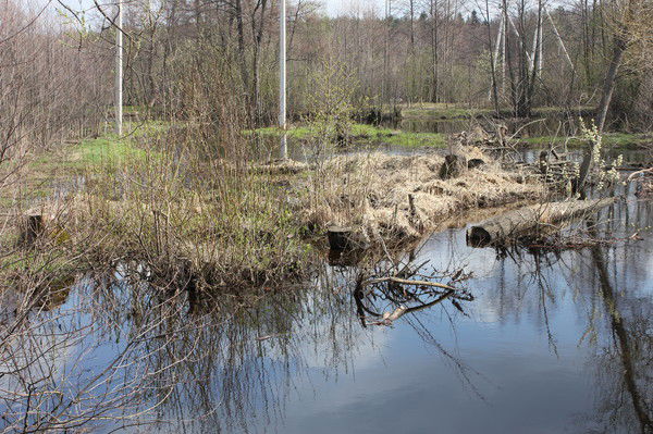 Екатерина В.е.к.