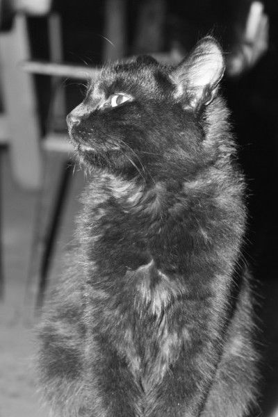 Полубояринова Анна