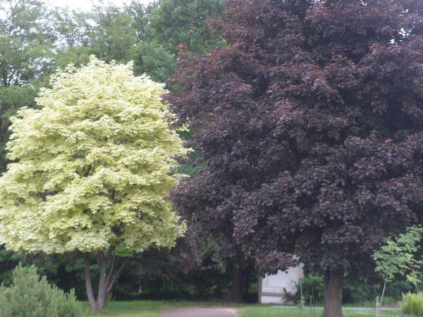 Даша Кендюхова