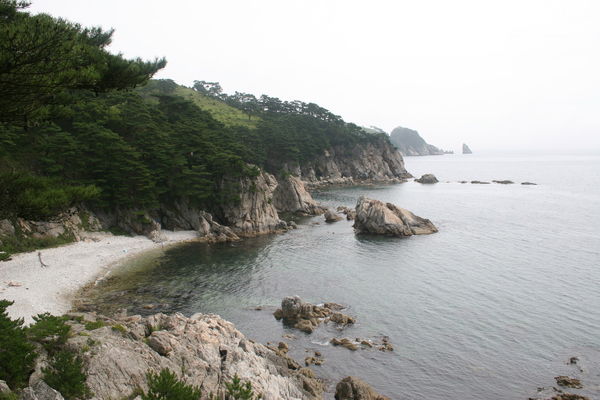 Олег Саушкин