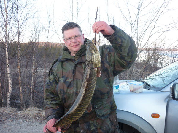 Дмитрий Алёшин