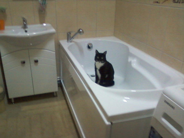 Наталья Трайдукова