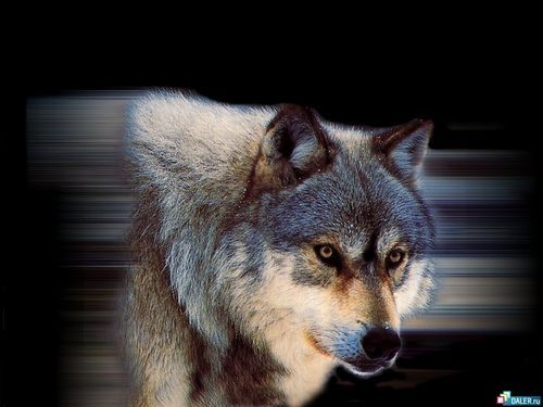 Андрей Половинкин